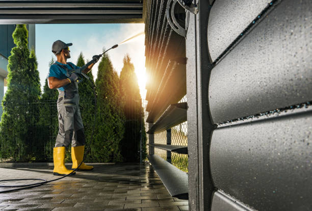 Best Graffiti Removal  in Inglewood, CA